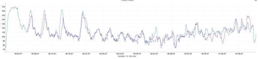 Силова тренировка. Синьо – Coros Pace 4, лилаво – Polar Verity Sense.