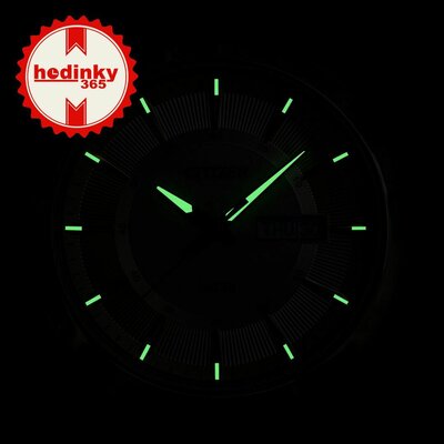 Citizen Basic Quartz BF2013-56PE
