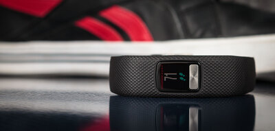 Garmin Vívofit 4 Black (размер L)