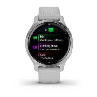 Garmin Venu 2S Silver/Gray Band