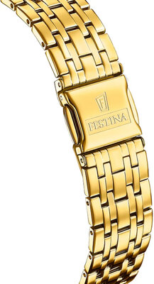 Festina Swiss Made 20046/3