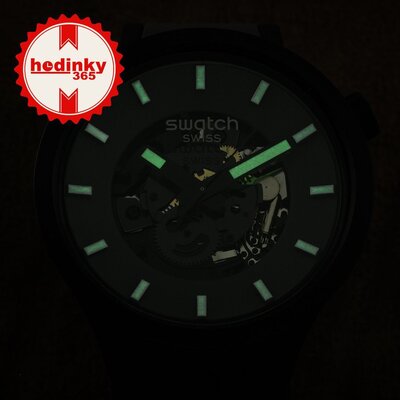 Swatch Past The Horizon SB05B113