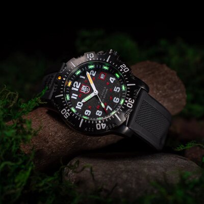 Luminox Navy Seal 4230 Series XS.4231.SET (+ резервна каишка)