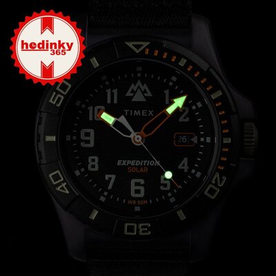 Timex Expedition TW2V40500