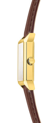 Festina Classic 20780/2