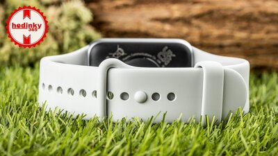 Xiaomi Smart Band 10 Pro NFC Glacier Silver