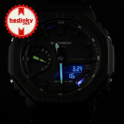 Casio G-Shock Original GA-2100-1A3ER Carbon Core Guard Utility Black Series